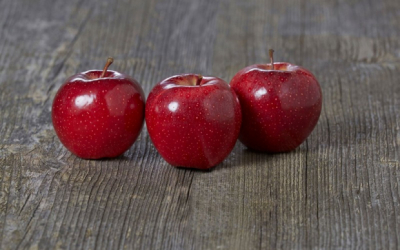 GALA SCHNIGA RED